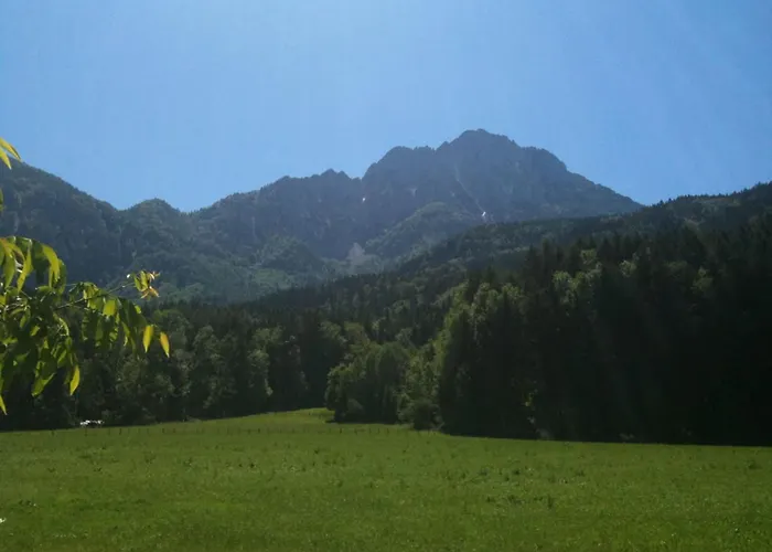 Séjour à la ferme Kastnerhof *